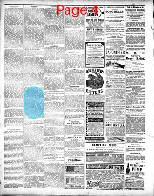 Page thumbnail for The News And Herald
