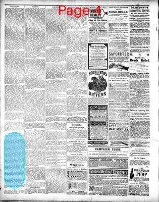 Page thumbnail for The News And Herald