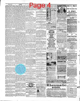 Page thumbnail for The News And Herald