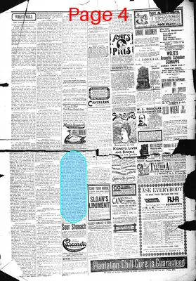 Page thumbnail for The News And Herald