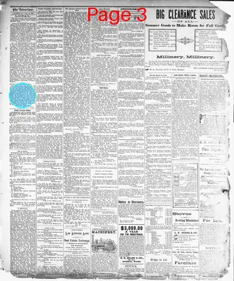 Page thumbnail for The Laurens Advertiser