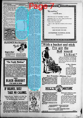 Page thumbnail for The Laurens Advertiser