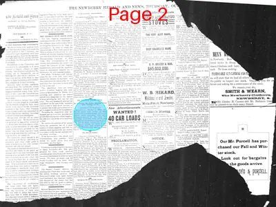 Page thumbnail for The Newberry Herald And News