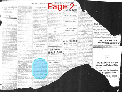 Page thumbnail for The Newberry Herald And News