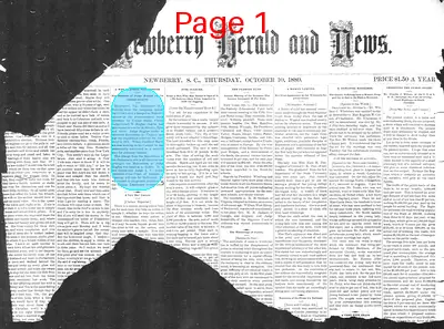 Page thumbnail for The Newberry Herald And News