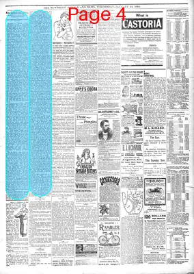 Page thumbnail for The Newberry Herald And News