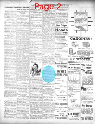 Page thumbnail for The Newberry Herald And News