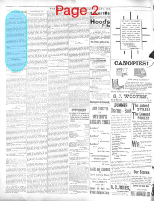 Page thumbnail for The Newberry Herald And News