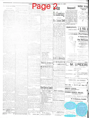 Page thumbnail for The Newberry Herald And News
