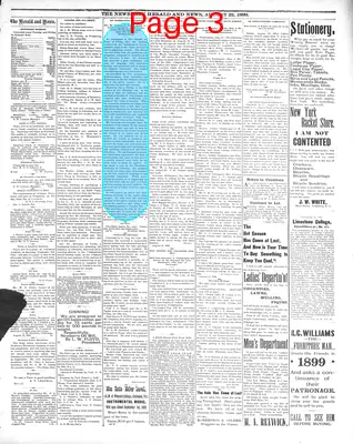 Page thumbnail for The Newberry Herald And News