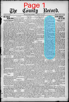 Page thumbnail for The County Record