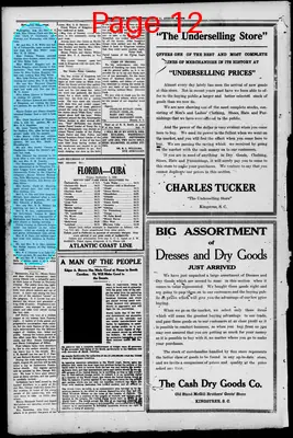 Page thumbnail for The County Record