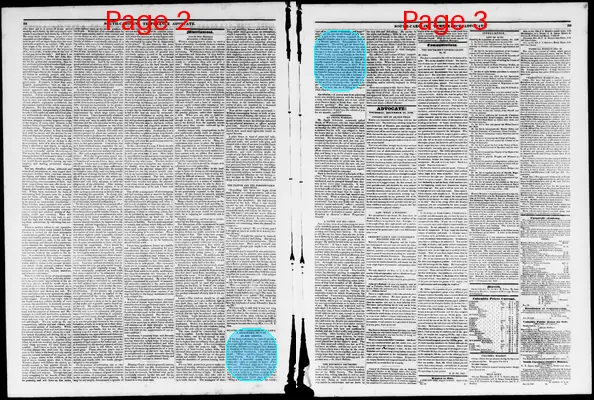 Page thumbnail for South Carolina Temperance Advocate