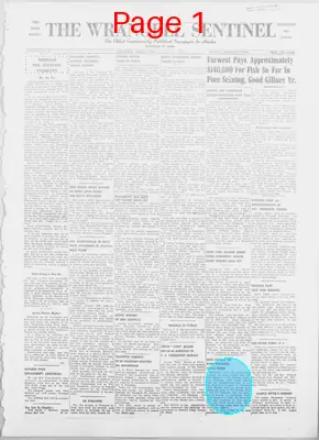 Page thumbnail for The Wrangell Sentinel