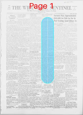 Page thumbnail for The Wrangell Sentinel