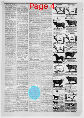 Page thumbnail for The St. Johns Herald