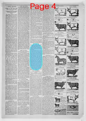 Page thumbnail for The St. Johns Herald