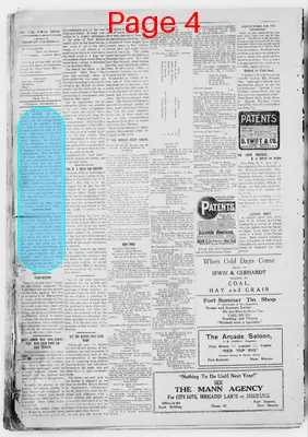 Page thumbnail for The Fort Sumner Review