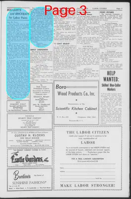 Page thumbnail for Labor Citizen