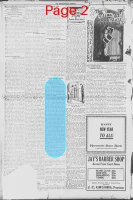 Page thumbnail for The Brooksville Journal