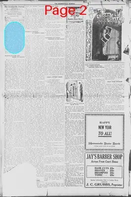 Page thumbnail for The Brooksville Journal