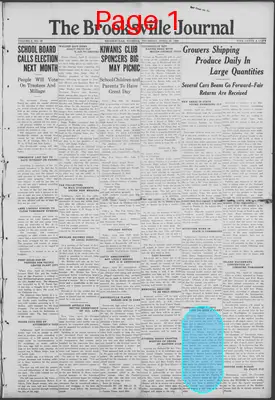 Page thumbnail for The Brooksville Journal