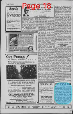 Page thumbnail for The Brooksville Journal