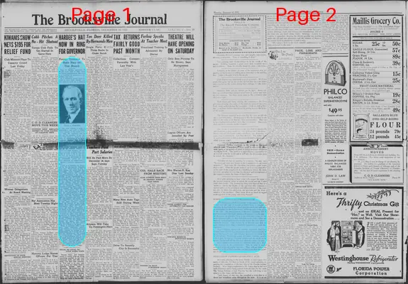 Page thumbnail for The Brooksville Journal