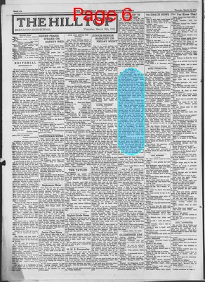 Page thumbnail for The Brooksville Journal