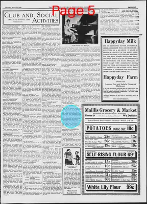 Page thumbnail for The Brooksville Journal