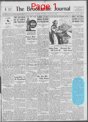 Page thumbnail for The Brooksville Journal