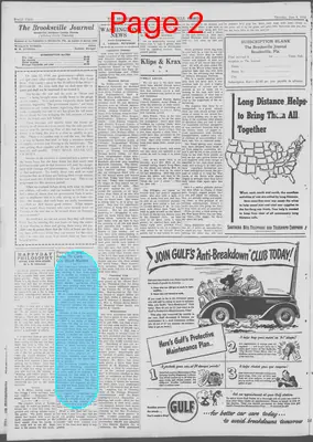 Page thumbnail for The Brooksville Journal
