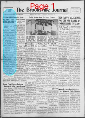 Page thumbnail for The Brooksville Journal