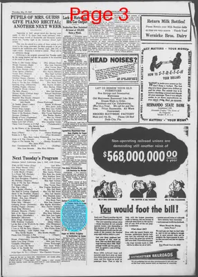 Page thumbnail for The Brooksville Journal