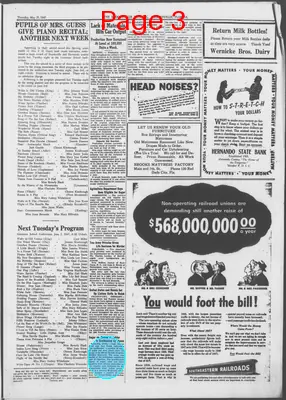 Page thumbnail for The Brooksville Journal