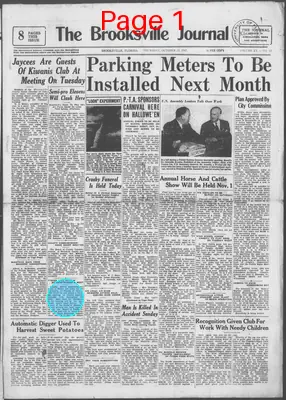 Page thumbnail for The Brooksville Journal