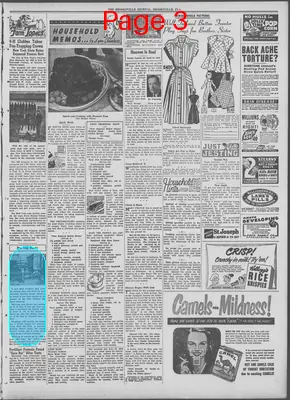 Page thumbnail for The Brooksville Journal