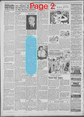 Page thumbnail for The Brooksville Journal