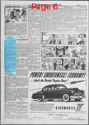 Page thumbnail for The Brooksville Journal