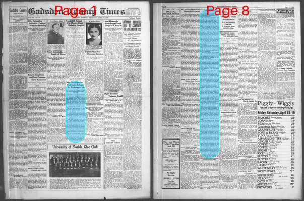 Page thumbnail for Gadsden County Times
