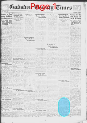 Page thumbnail for Gadsden County Times