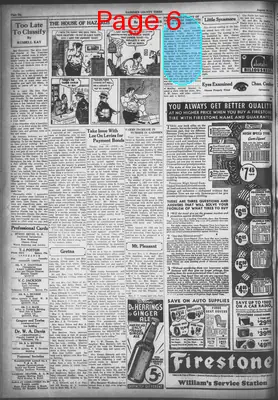 Page thumbnail for Gadsden County Times