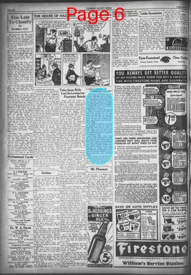 Page thumbnail for Gadsden County Times