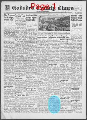 Page thumbnail for Gadsden County Times