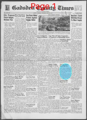 Page thumbnail for Gadsden County Times