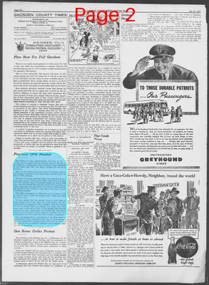 Page thumbnail for Gadsden County Times