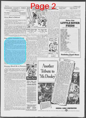 Page thumbnail for Gadsden County Times
