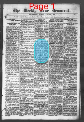 Page thumbnail for The Weekly True Democrat