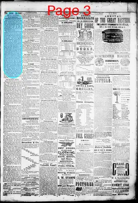 Page thumbnail for The Home Journal
