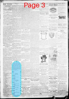 Page thumbnail for The Home Journal
